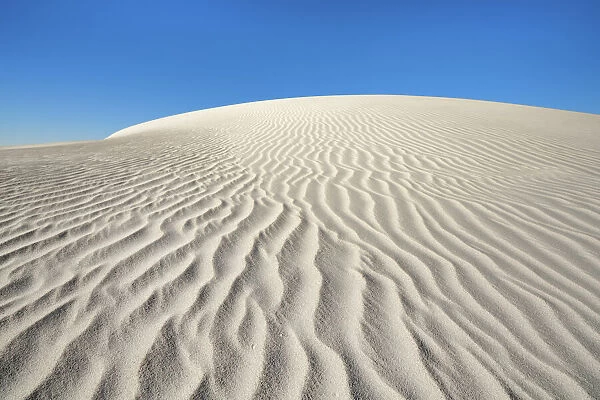 Dune landscape near Cervantes - Australia, Western Australia, Midwest
