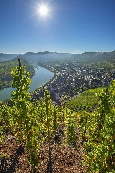 View from Calmont, Bremm, Mosel valley, Rhineland-Palatinate, Germany