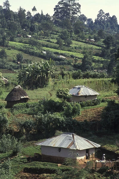 20048206. KENYA Near Eldoret Shamba or farms in the hills