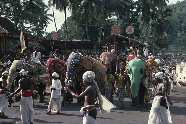 20056773. sri lanka, kandy, perahera buddhist festival procession. elephants and musicians