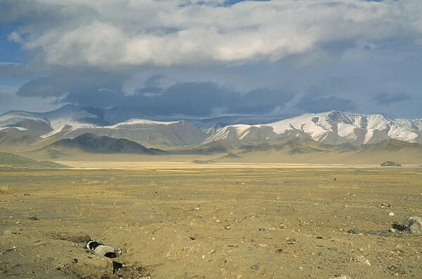 20069844. MONGOLIA
