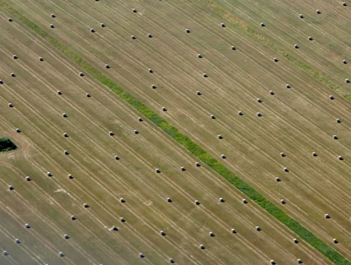 Framed Print : Aerial view of bales of straw on a harvested grain field in Brandenburg state Framed Print : Aerial view of bales of straw on a harvested grain field in Brandenburg state
