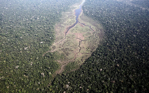An aerial view of the Bom Futuro National Forest near Rio Pardo in Porto Velho