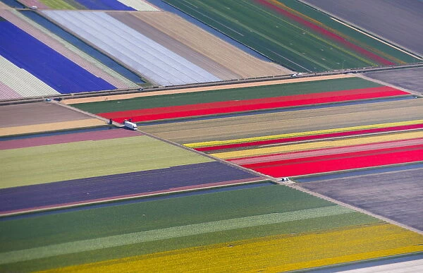 Aerial view of flower fields near the Keukenhof park, also known as the Garden of