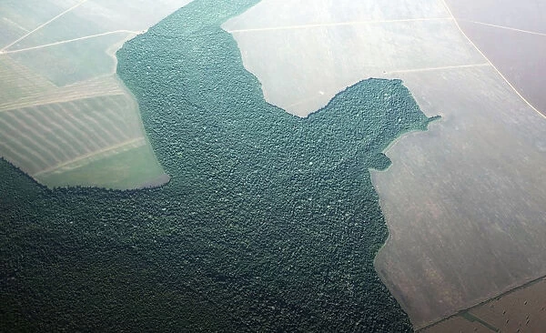 An aerial view of a section of deforested Amazon rainforest turned into farmland near the
