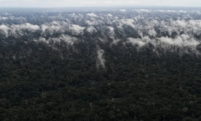 Framed Print : An aerial view shows the Amazon rainforest near the city of Santarem Framed Print : An aerial view shows the Amazon rainforest near the city of Santarem