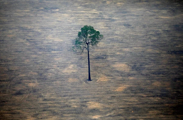 An aerial view shows a deforested plot of the Amazon near Porto Velho