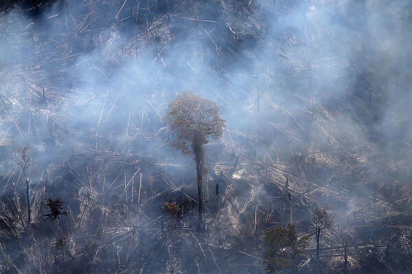 An aerial view shows a tract of Amazon jungle burning as it is cleared by farmers in