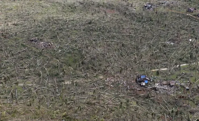 Framed Print : An aerial view of toppled trees at the devastation of super Typhoon Haiyan in Samar Framed Print : An aerial view of toppled trees at the devastation of super Typhoon Haiyan in Samar