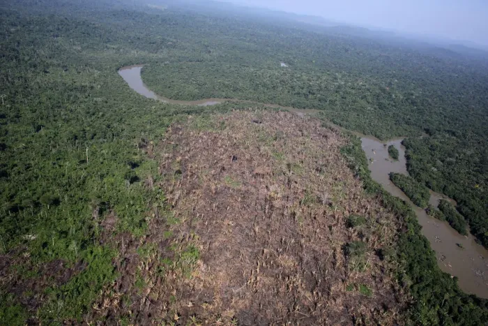Framed Print : An aerial view of a tract of Amazon jungle recently cleared by loggers