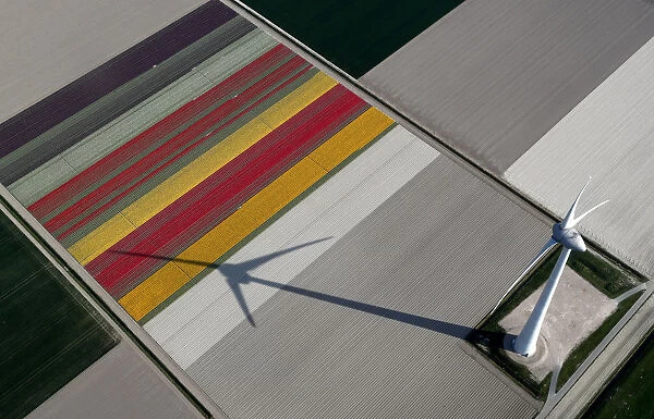 An aerial view of tulip fields near the city of Creil