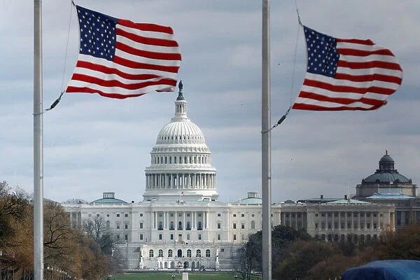 American flags fly with U. S. Capitol on background