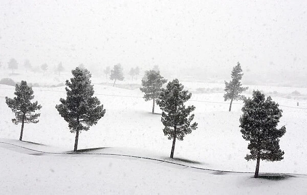 Angel Park Golf Course is covered in snow during a winter storm in Las Vegas