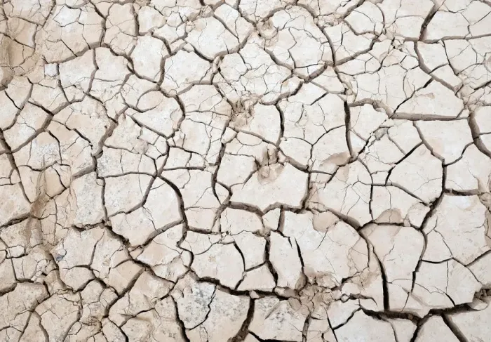 Framed Print : Animal footprints are stamped on the dried out ground of the partially empty Contreras Framed Print : Animal footprints are stamped on the dried out ground of the partially empty Contreras