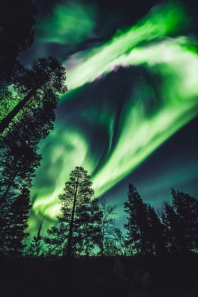 The Aurora Borealis (Northern Lights) is seen in the sky in Ivalo of Lapland