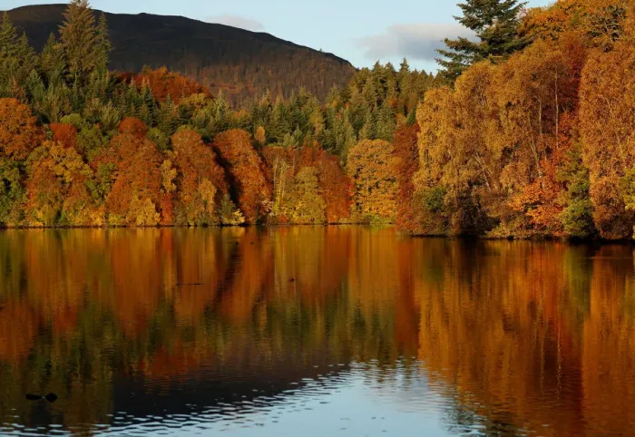 Framed Print : Autumn leaves are reflected on Loch Faskally, Pitlochry, Scotland Framed Print : Autumn leaves are reflected on Loch Faskally, Pitlochry, Scotland