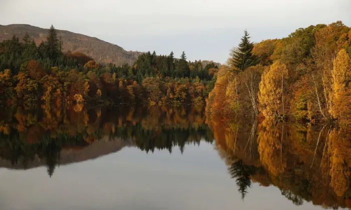 Framed Print : Autumn leaves are reflected in Loch Faskally in Pitlochry Framed Print : Autumn leaves are reflected in Loch Faskally in Pitlochry