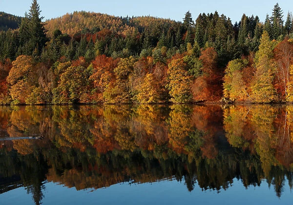 Autumnal foliage is reflected on Loch Faskally, Pitlochry, Scotland