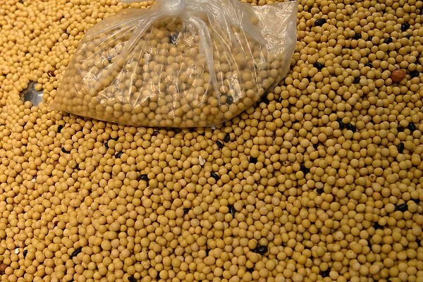 Bag of beans sits on top of soybeans at a Walmart in Beijing
