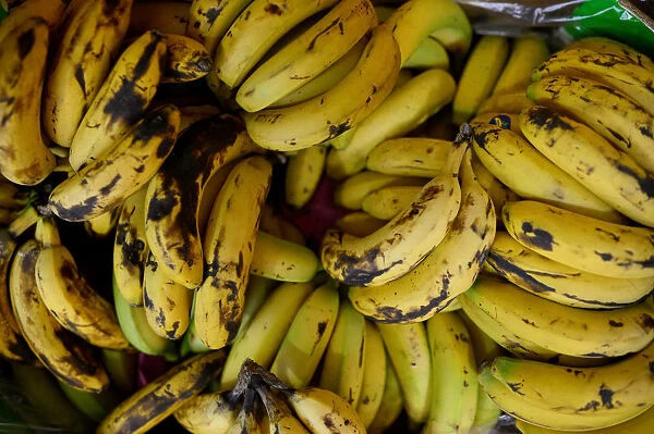 Bananas are displayed at a greengrocers in Bilbao