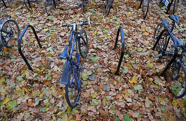 Bicycle bays are seen covered in fallen leaves in London, Britain