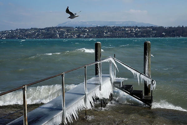A bird flies over a frozen pier during a windy winter day near Lake Leman in Geneva