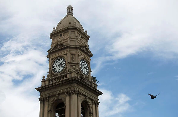 A bird flies past the broken clock on the Old Town Hall in Durban