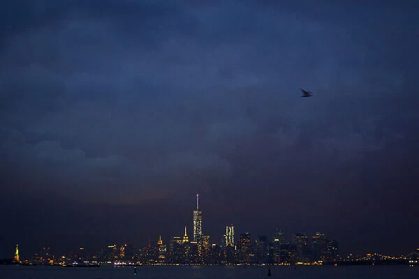 A bird flies over the skyline of Lower Manhattan as it is pictured from the Staten Island