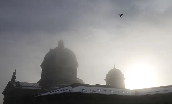 A bird fliesin the fog past the Swiss Parliament building in Bern