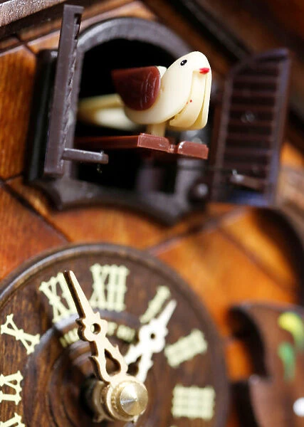 Bird house wall clock named Coucou is pictured in a watchmakers shop in Bordeaux