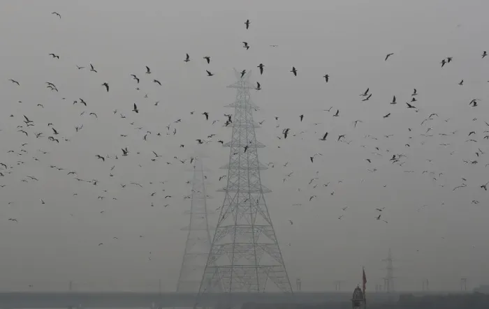 Framed Print : Birds fly next to electricity pylons on a smoggy afternoon in the old quarters of Delhi Framed Print : Birds fly next to electricity pylons on a smoggy afternoon in the old quarters of Delhi