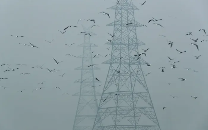 Framed Print : Birds fly next to electricity pylons on a smoggy afternoon in the old quarters of Delhi Framed Print : Birds fly next to electricity pylons on a smoggy afternoon in the old quarters of Delhi