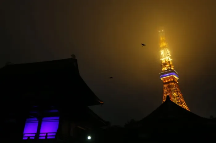 Framed Print : Birds fly over Zojoji Temple and Tokyo tower before their lights were turned off during Framed Print : Birds fly over Zojoji Temple and Tokyo tower before their lights were turned off during