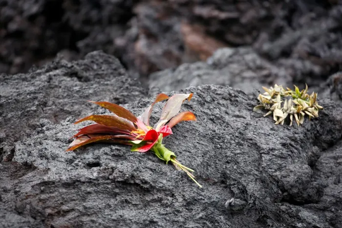 Framed Print : A bouquet and a lei rest on a lava flow in the Leilani Estates subdivision during ongoing