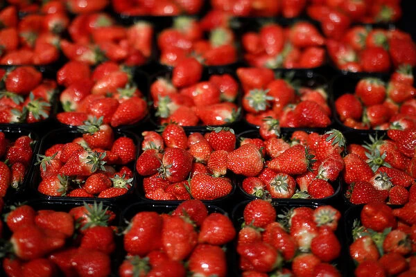 Boxes of fresh strawberries are displayed for sale in Copenhagen