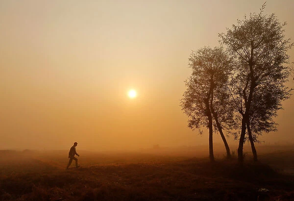 A boy walks through a paddy field on a foggy morning on the outskirts of Srinagar