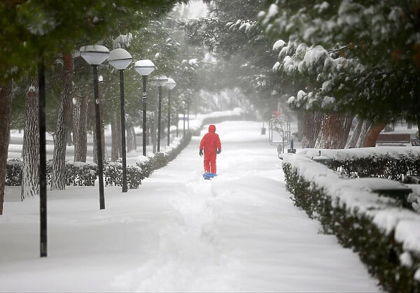 A boy walks under snow-covered trees during a snowfall in Istanbul