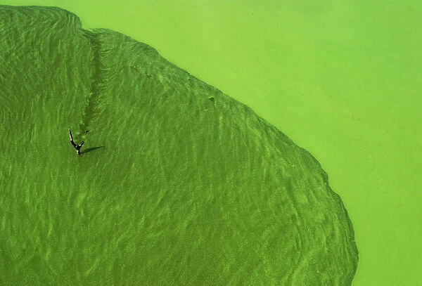A branch emerges from the green sediment that has been building up around the edges of the