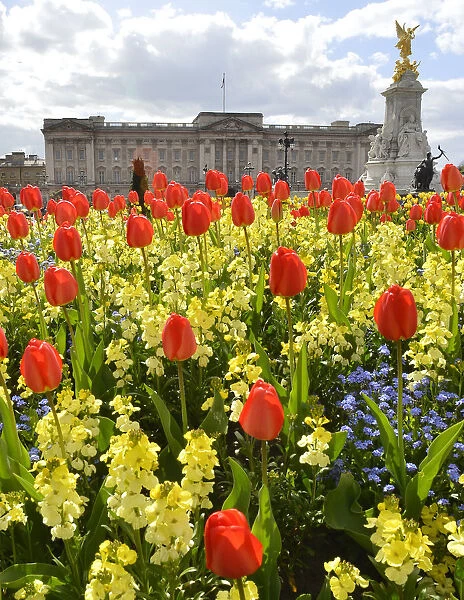 Buckingham Palace, the residence of Britains Queen Elizabeth, is seen behind spring