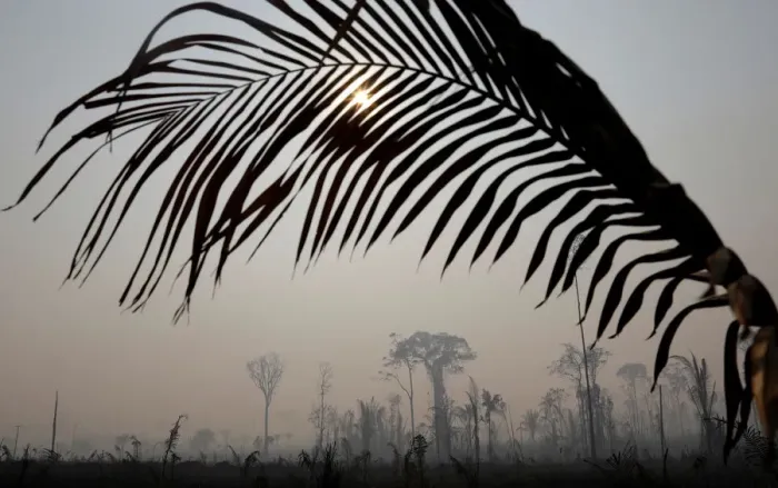 Framed Print : A burning tract of Amazon jungle is pictured in Porto Velho Framed Print : A burning tract of Amazon jungle is pictured in Porto Velho