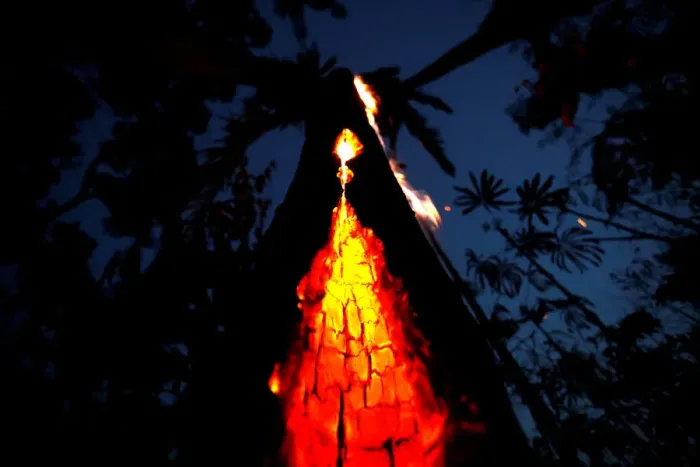 Framed Print : A burning tree is seen during a fire in an area of the Amazon rainforest in Itapua do Framed Print : A burning tree is seen during a fire in an area of the Amazon rainforest in Itapua do