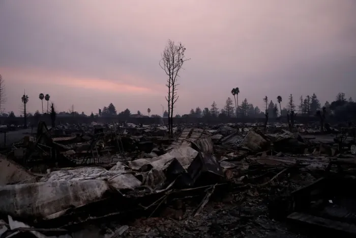 Framed Print : A burnt tree stands amidst the destroyed Journeys End Mobile Home Park during the Tubbs Framed Print : A burnt tree stands amidst the destroyed Journeys End Mobile Home Park during the Tubbs