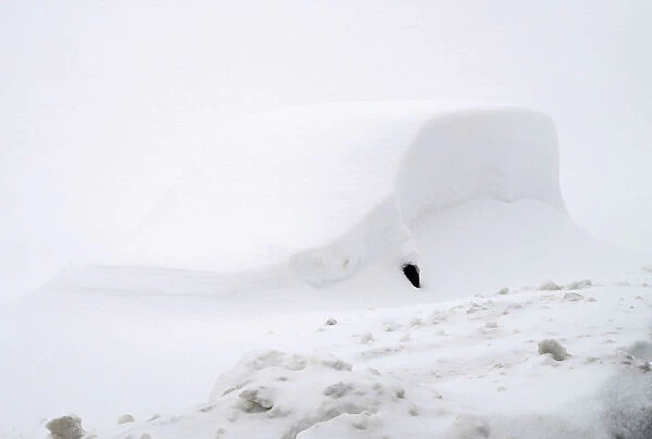 A car is covered in snow in the village of Pajares