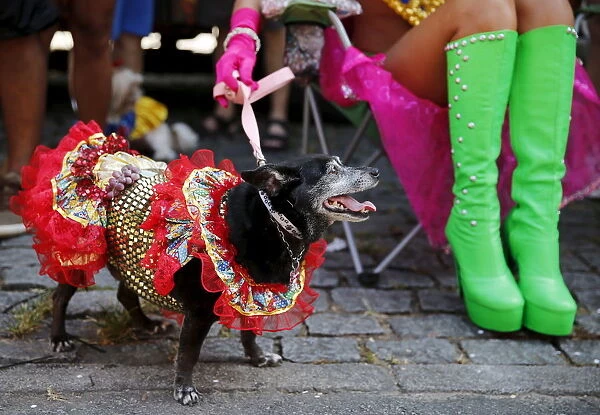A carnival reveller and her dog take part in the Blocao or dog carnival parade during