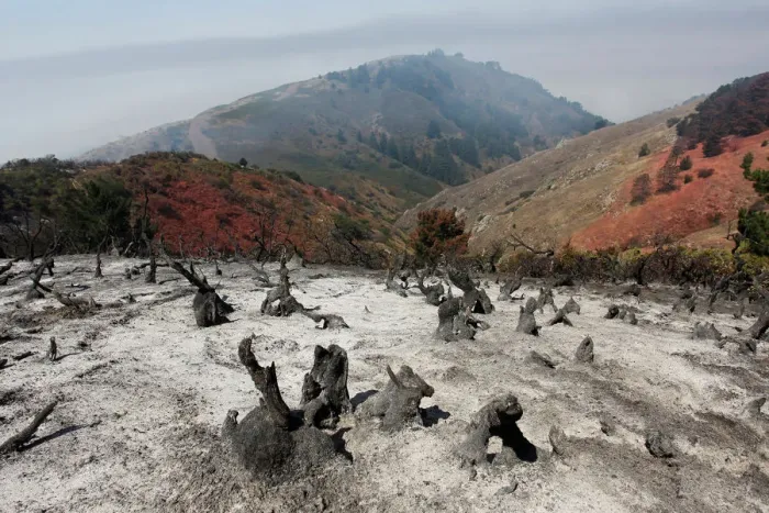 Framed Print : A charred slope smolders after the Soberanes Fire burned through the area in