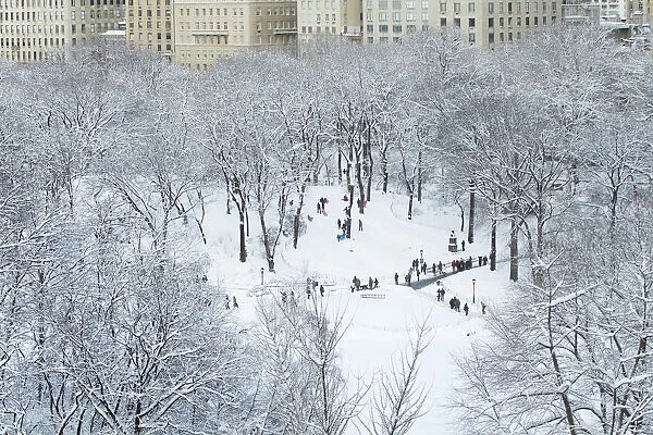 Children sled on a hill inside of Central Park after a snowstorm in New York