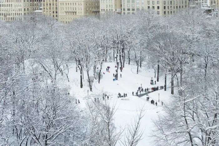 Framed Print : Children sled on a hill inside of Central Park after a snowstorm in New York Framed Print : Children sled on a hill inside of Central Park after a snowstorm in New York