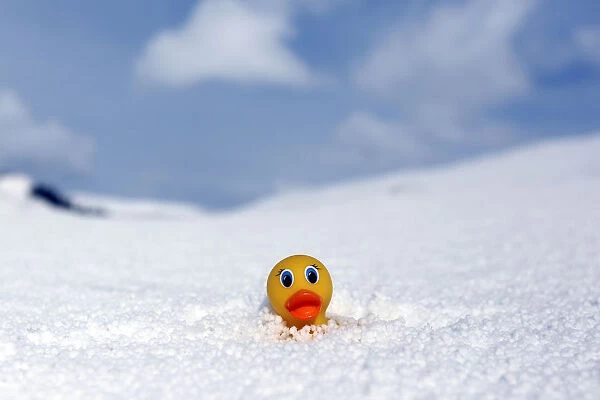 A childs toy duck is partially buried by hailstones following an ice storm in Derry