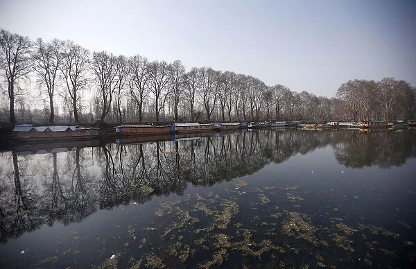 Chinar tress and houseboats are seen reflected in the waters of Dal Lake on a sunny