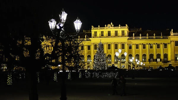 A Christmas tree is seen in front of the Schonbrunn Palace in Vienna